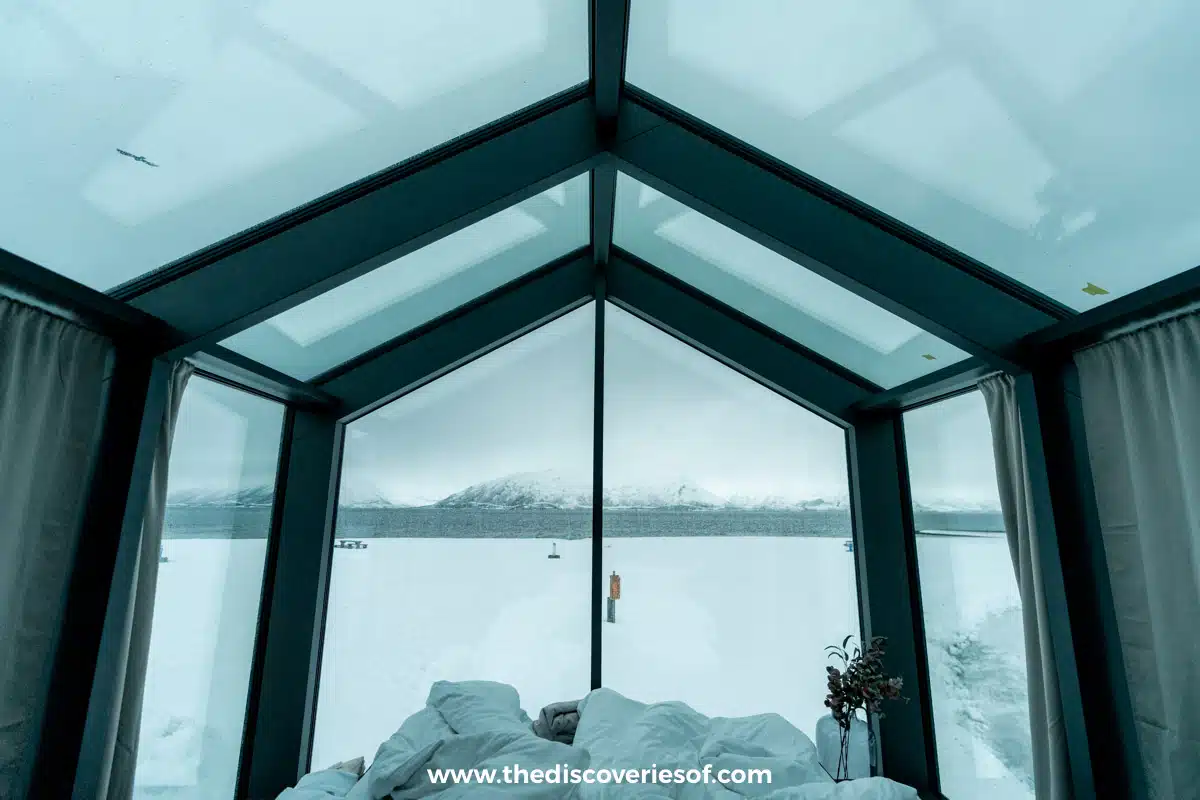 View in the Morning from the cabin