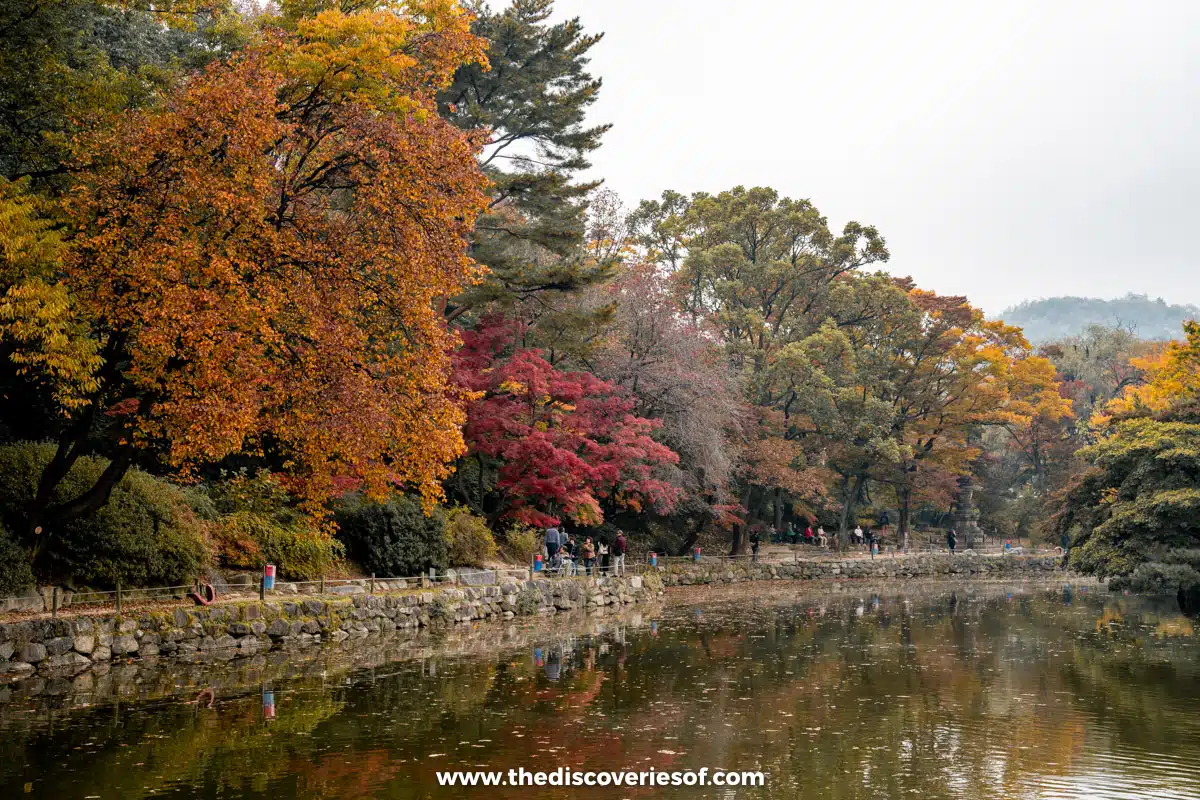 The gardens at the palace
