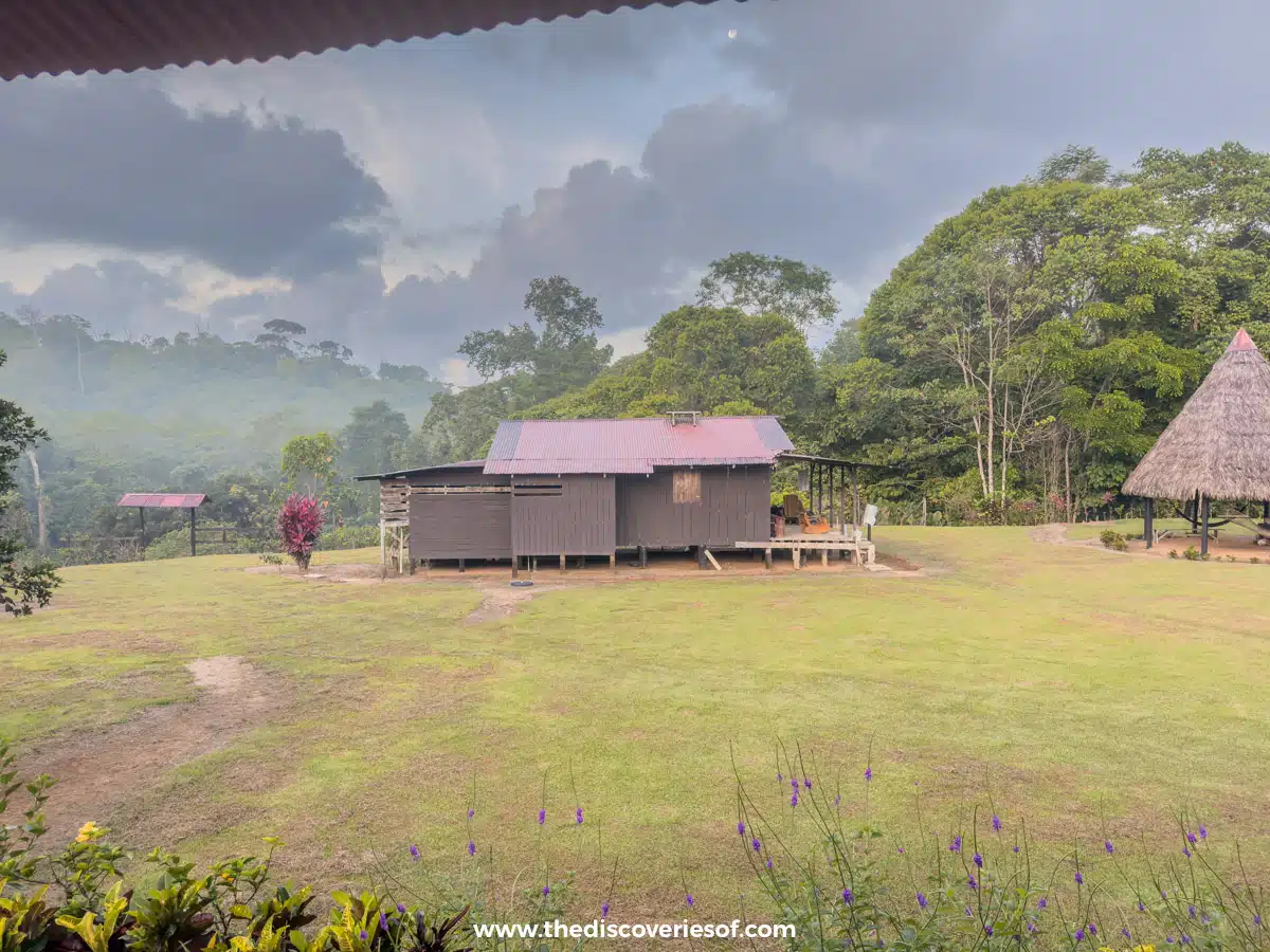 Los Planes - Green Paradise