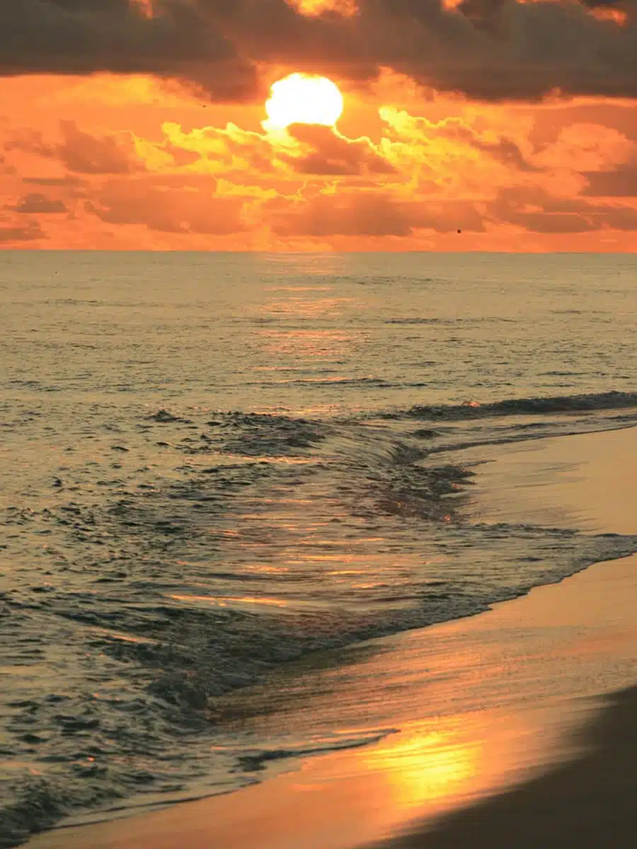 Denis Island Seychelles
