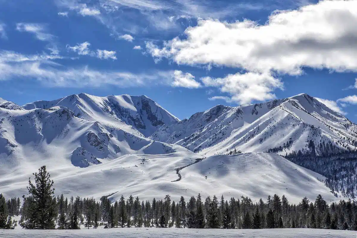 Mammoth Mountain (California)