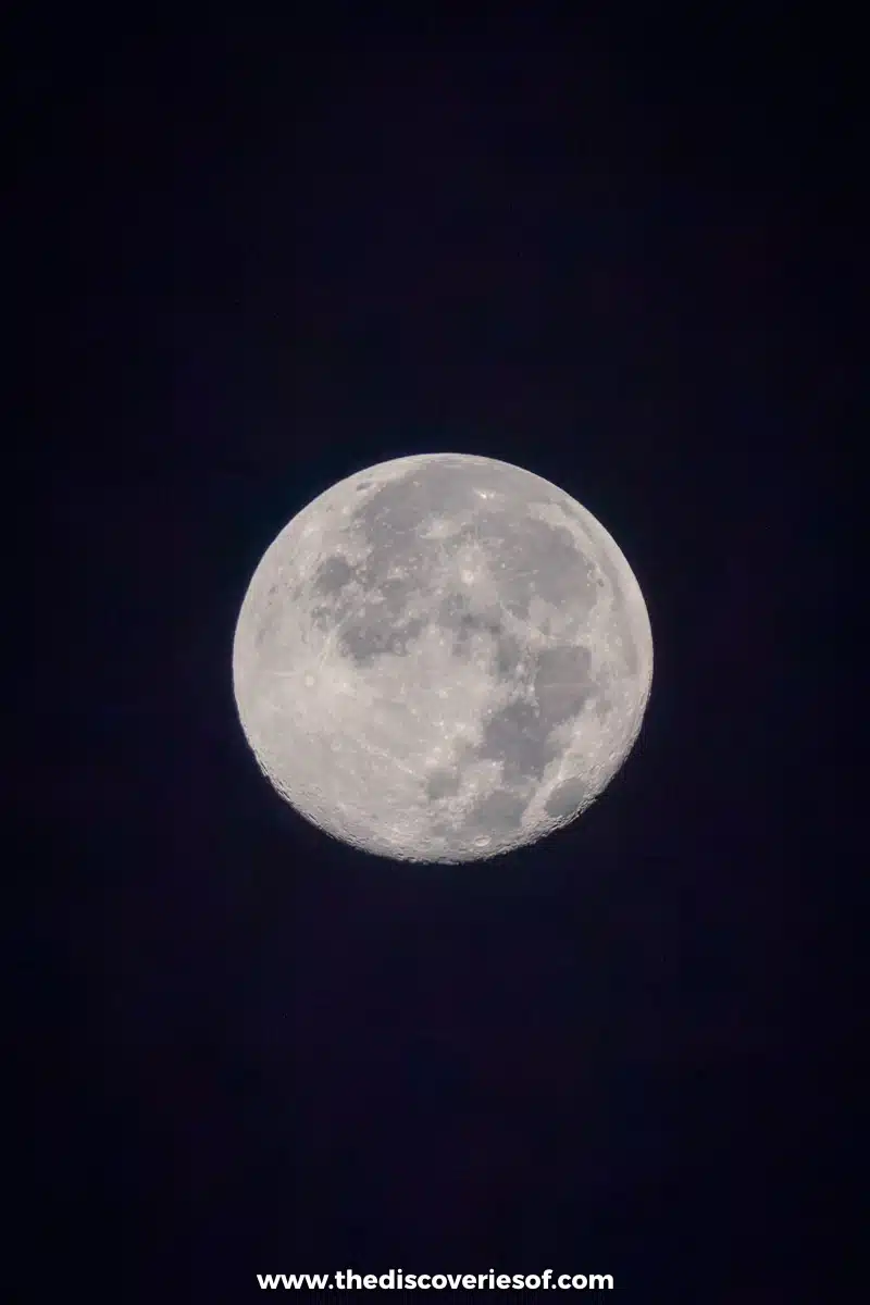 Views of the moon in the park