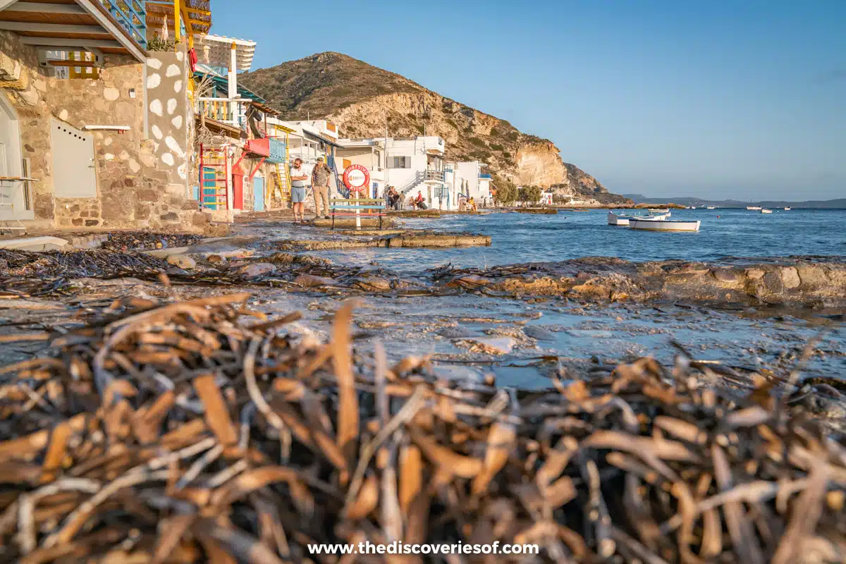 Boat houses and seaweed